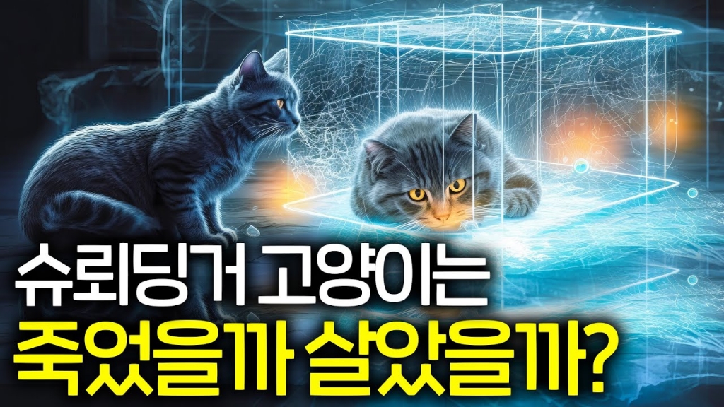 [보다 BODA]아인슈타인이 죽을 때까지 이해 못 한 양자역학 이해하는 방법